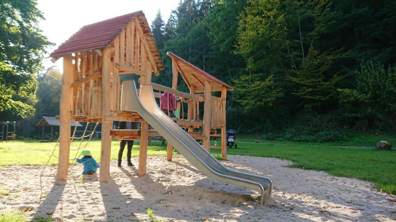 Fewo Am Neckarsteig Mit Anbindung An Heidelberg Neckarsteinach Dış mekan fotoğraf