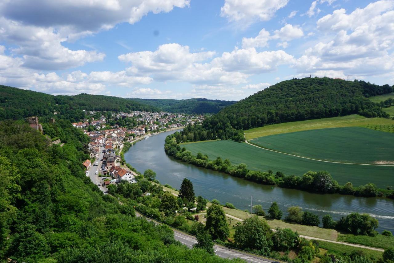Fewo Am Neckarsteig Mit Anbindung An Heidelberg Neckarsteinach Dış mekan fotoğraf