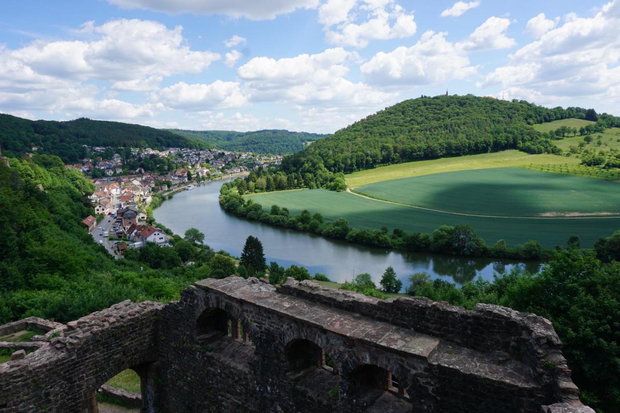 Fewo Am Neckarsteig Mit Anbindung An Heidelberg Neckarsteinach Dış mekan fotoğraf