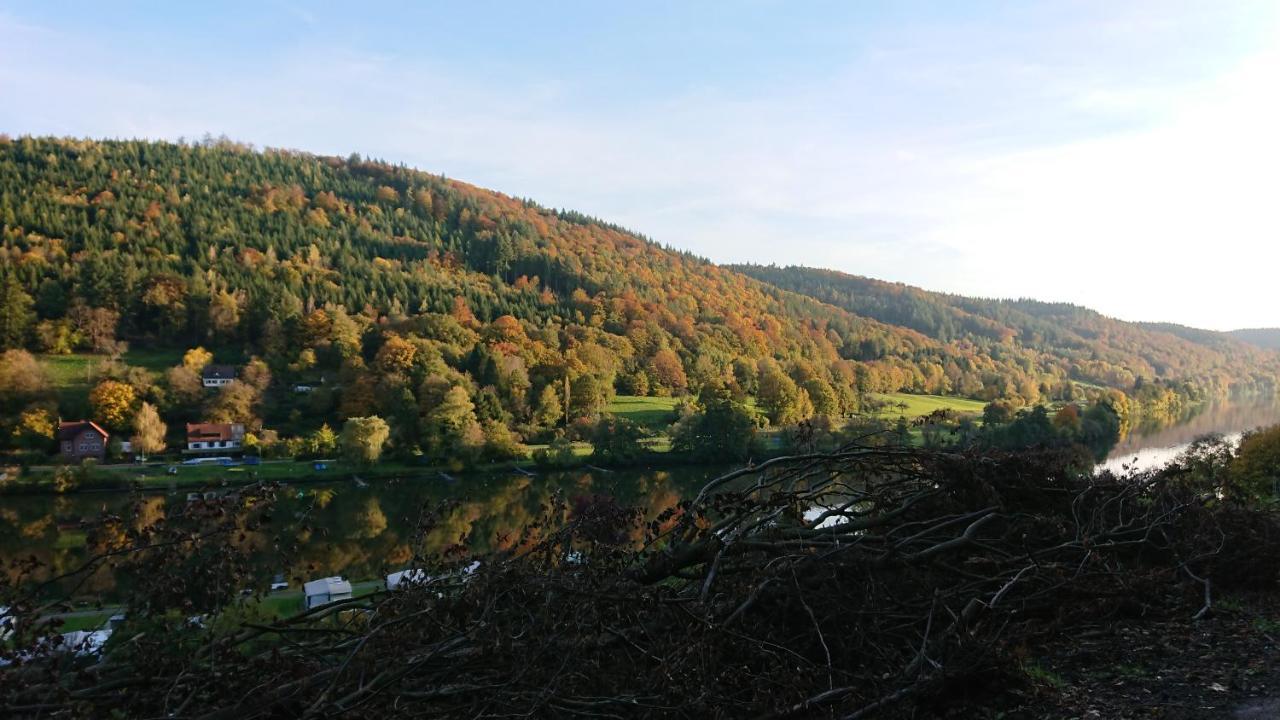 Fewo Am Neckarsteig Mit Anbindung An Heidelberg Neckarsteinach Dış mekan fotoğraf