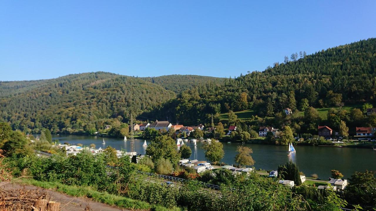 Fewo Am Neckarsteig Mit Anbindung An Heidelberg Neckarsteinach Dış mekan fotoğraf