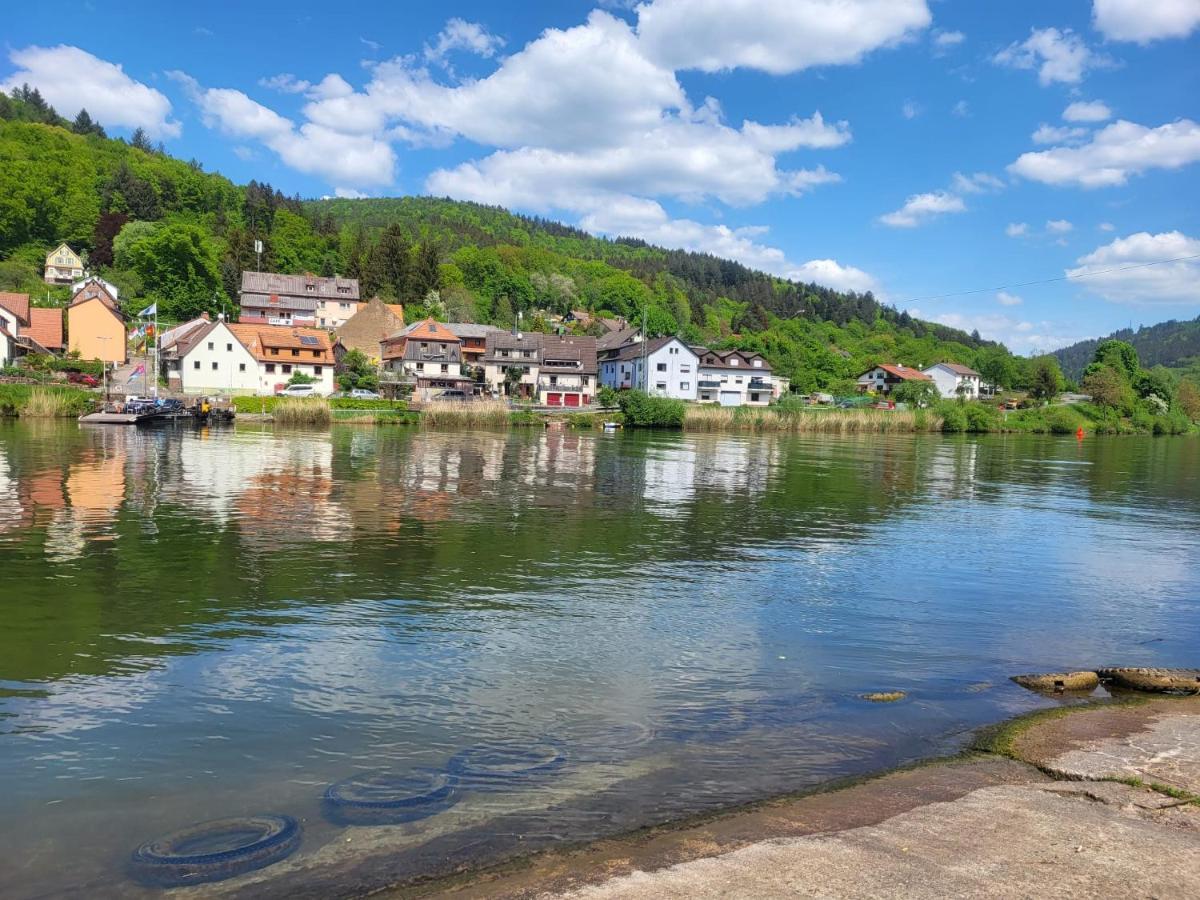 Fewo Am Neckarsteig Mit Anbindung An Heidelberg Neckarsteinach Dış mekan fotoğraf