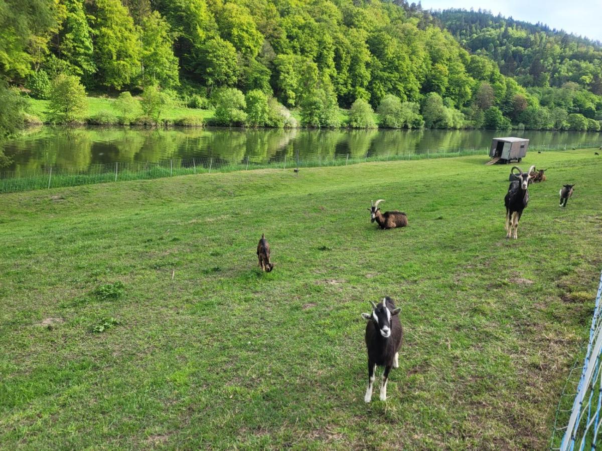 Fewo Am Neckarsteig Mit Anbindung An Heidelberg Neckarsteinach Dış mekan fotoğraf